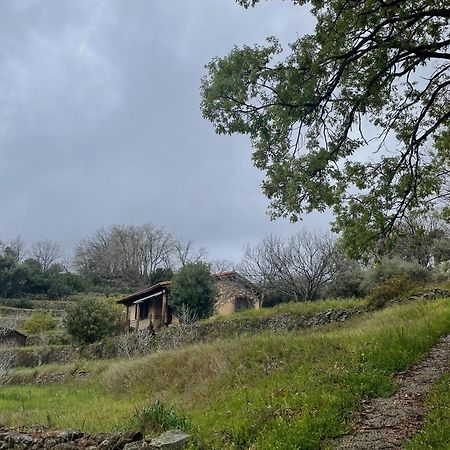Vergel San Pedro Torremenga Exteriér fotografie
