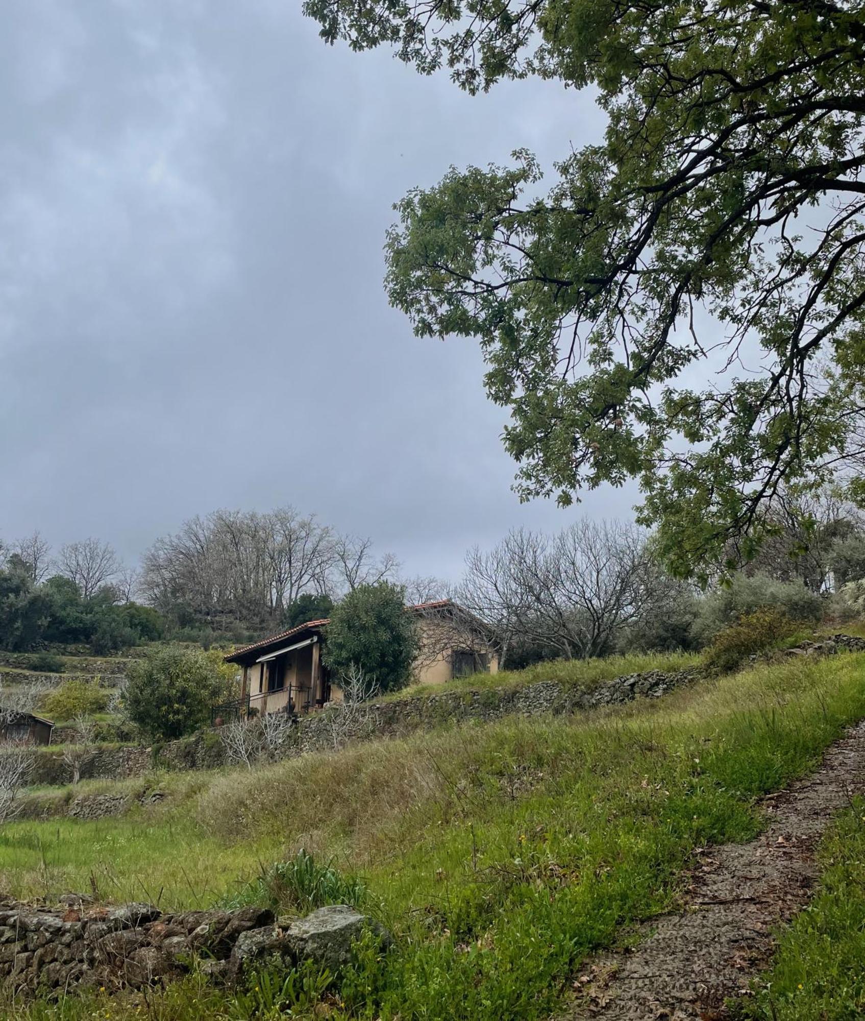 Vergel San Pedro Torremenga Exteriér fotografie